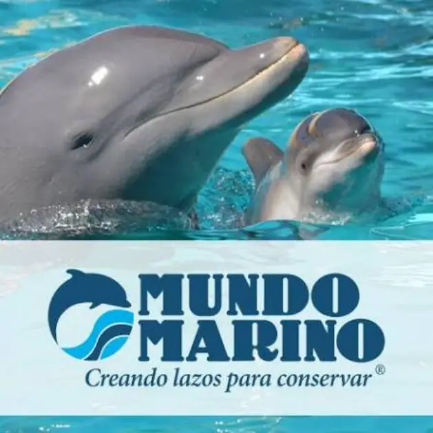 Mundo Marino
